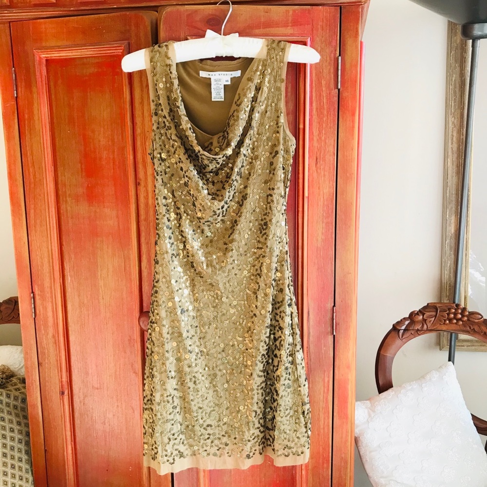 Host Pick 🥳 Max Studio sequin dress